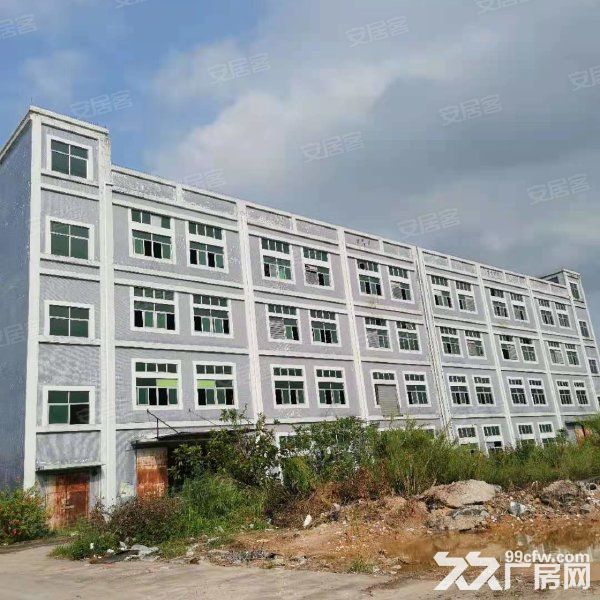 江门开平市金鸡镇80000平方工业园招商引咨，可分栋出租 - 5