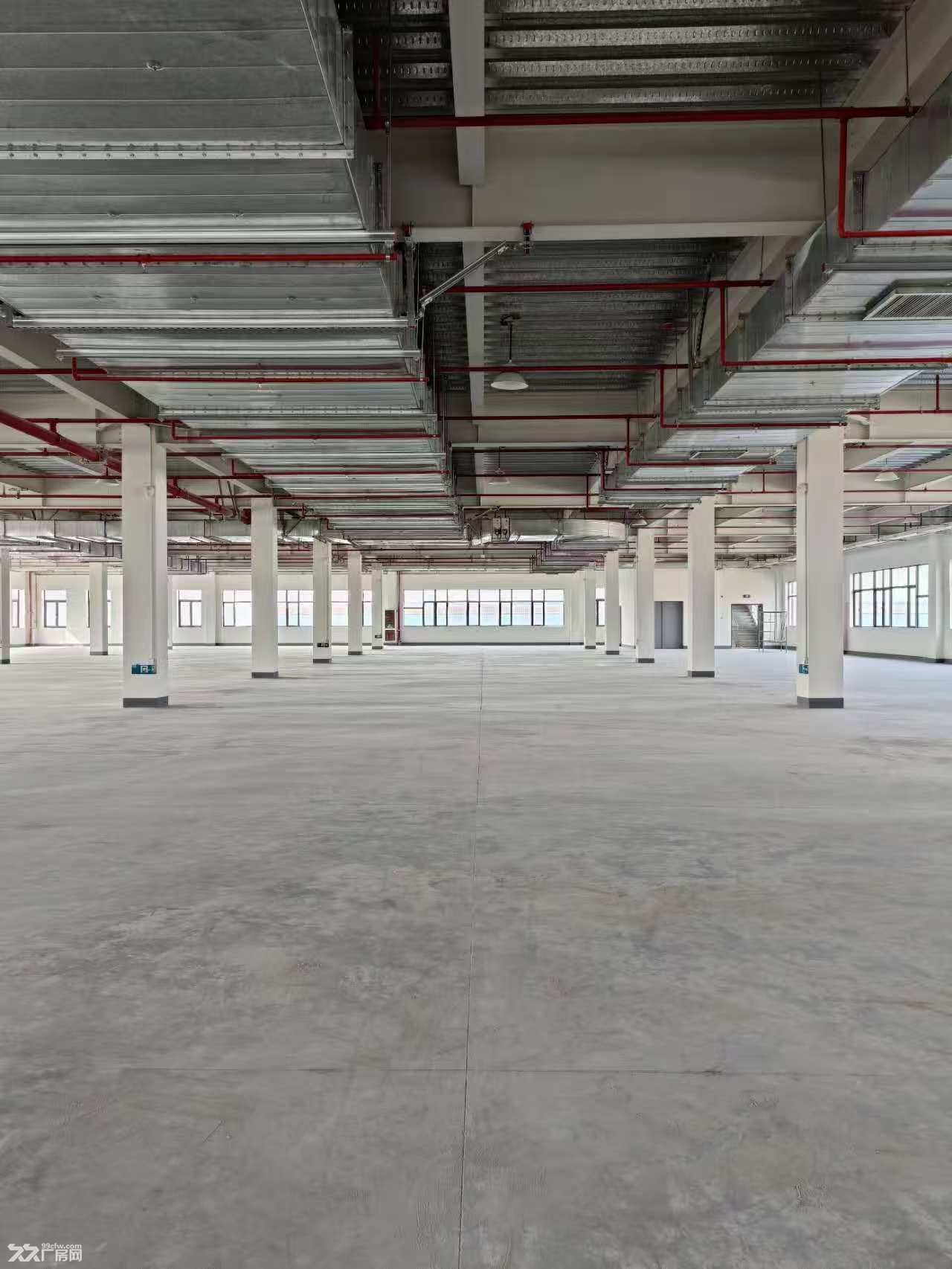 奉贤区金汇镇食品行业核心承载区 - 5