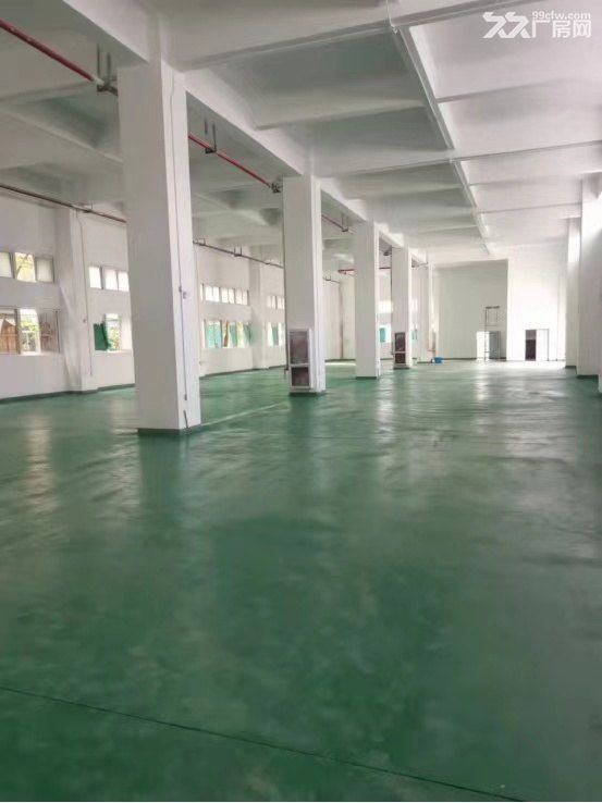 松江泗泾8680平标准厂房出租 - 3