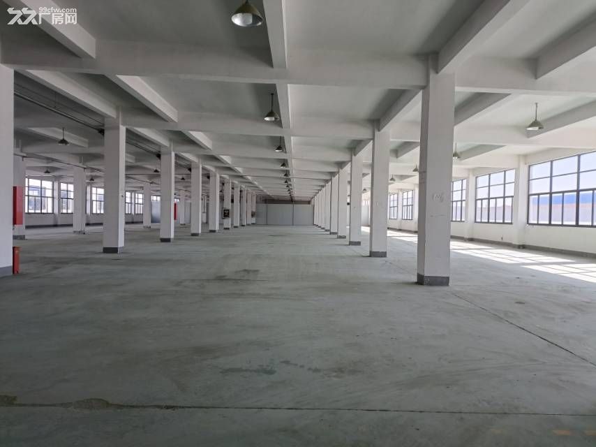 锡山区羊尖工业园二楼3000-5000平出租可配套一楼 - 4