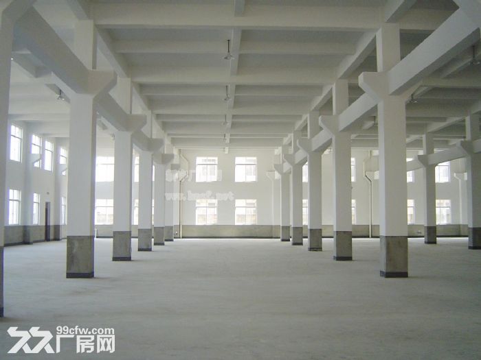 (出租) 个人.江宁一楼800到5000平米单层高8米厂房 - 5