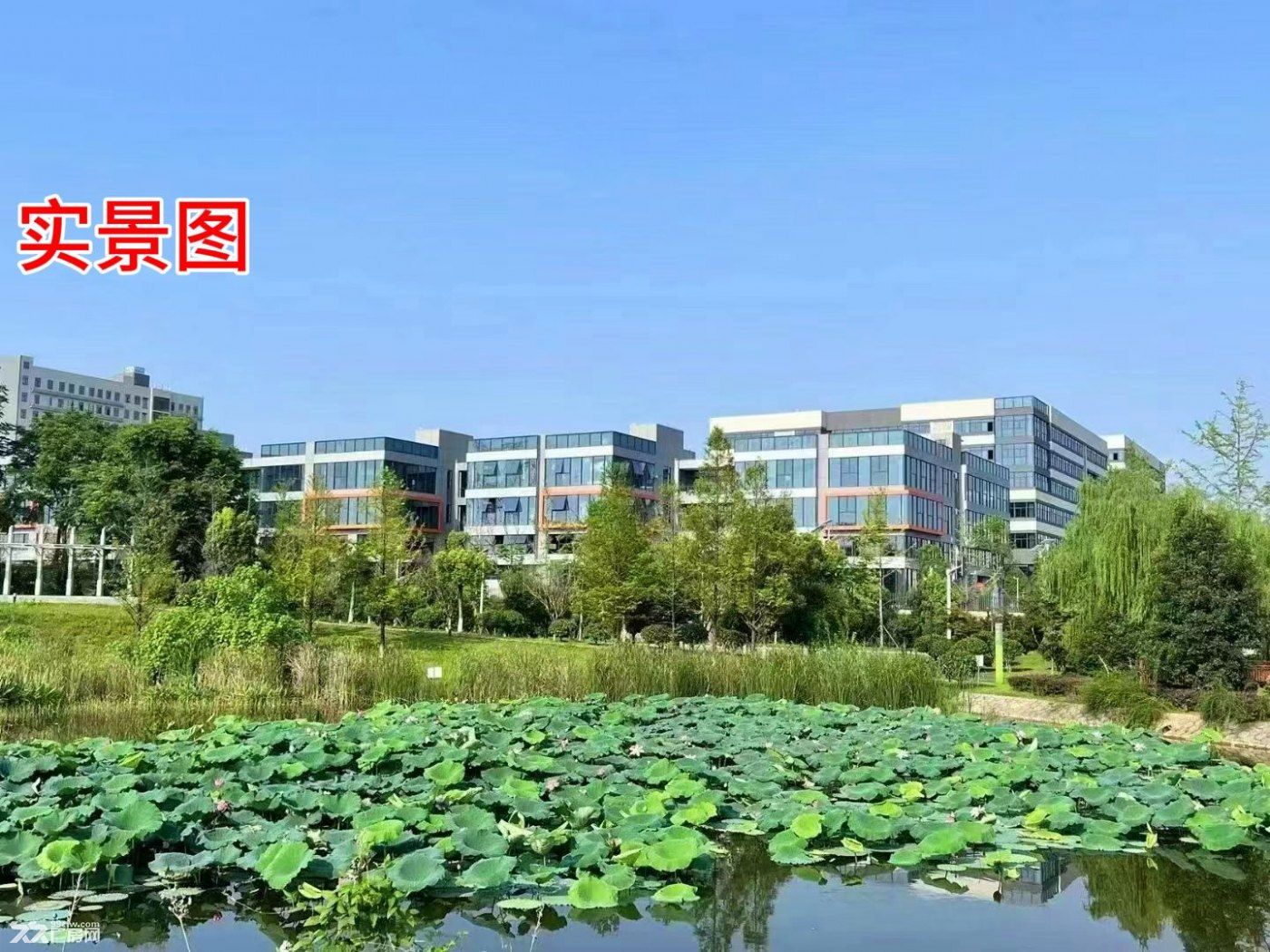 长沙经开区三层品质独栋厂房出租出售 - 6