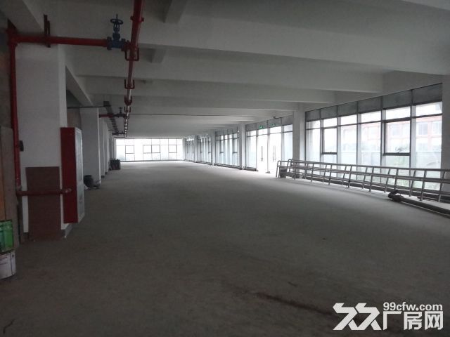 1000方厂房出租 环境好 适合淘宝 仓储等 - 6