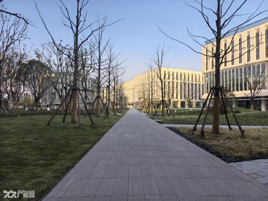 嘉兴秀洲区全新国资园区招商 - 7