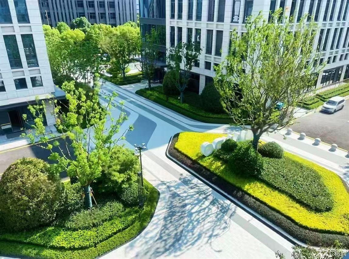 房东直租:嘉定104一手开发花园厂房租售,独栋50年产权,汽车产业集聚 - 2