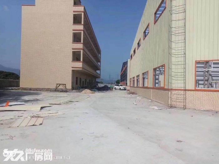石湾全新10米高带牛角独院钢构厂房出租 - 3