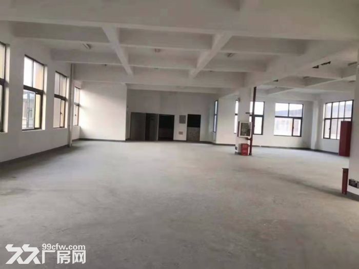 稀缺厂房50年产权标准厂房2369平可注册可环评 - 2