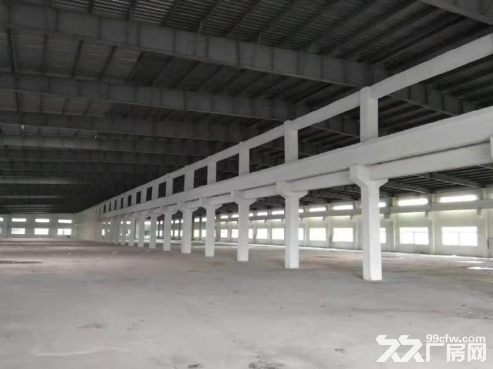 台山水步工业区独院单一层厂房10000平方招租 - 4