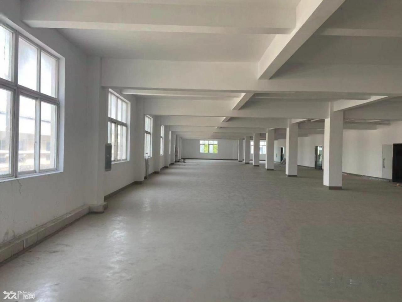 招商嘉定-安亭 于塘路/宝安公路(路口) 正规 不后悔的选择 - 6