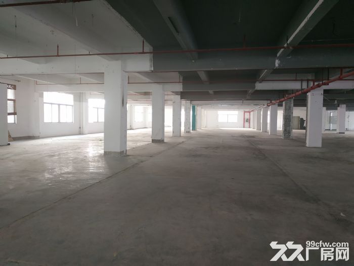 西丽大学城地铁口 创新高新园一楼370平厂房办公室直租 - 8