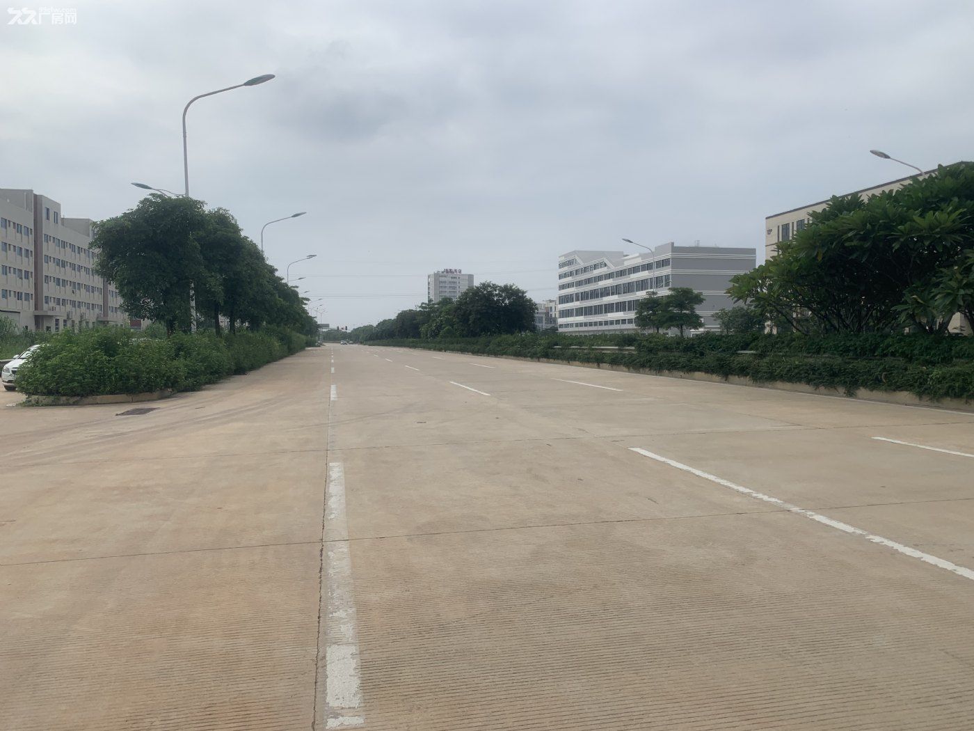 一手标准厂房准现房，50年独立产权可分层和双拼，面积800-6000平 层高8米 - 6