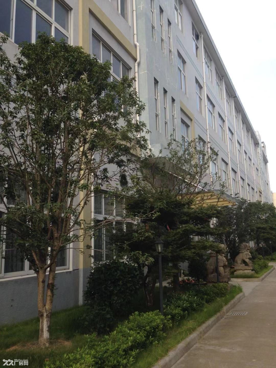 庄市工业B区厂房出租