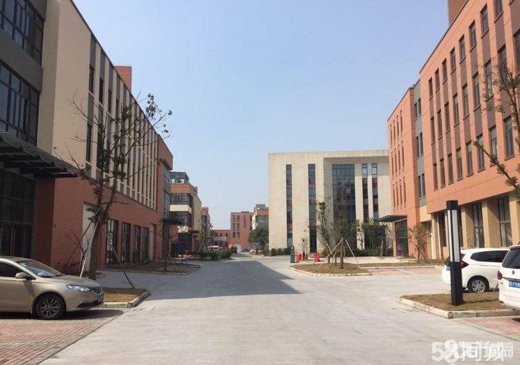 宁波杭州湾工业园区土地45亩厂房33000平,独门独院,形象好 - 3