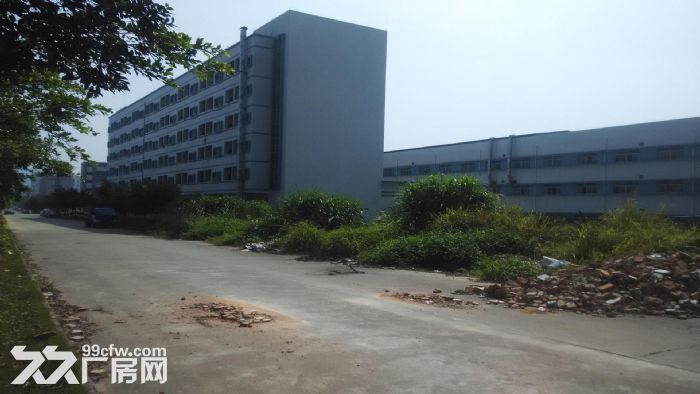 东莞市常平镇38000平米一楼厂房出租 (可分租) - 2