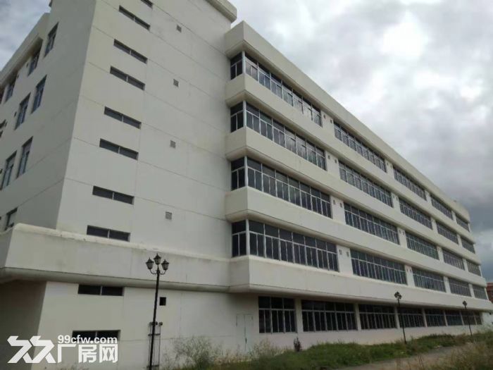 西柯独栋厂房9300平方出售