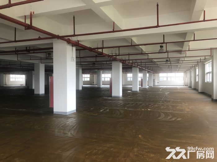 广州黄埔东区孵化器花园式工业园区出售不动产权红本在手中介勿扰 - 3