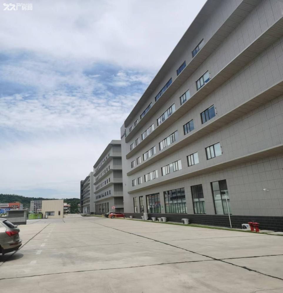 长沙岳麓区厂房出租,全新厂房 可分租 1700平起 交通便利招工容易 - 3