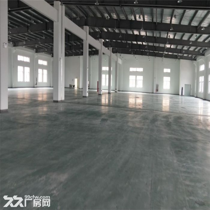 吴江开发区平望10000平米出售,工业用地33亩