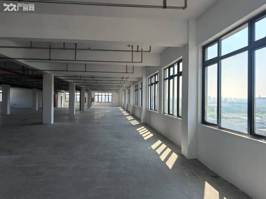 新站区标准厂房独门独院1050平可分租 - 4