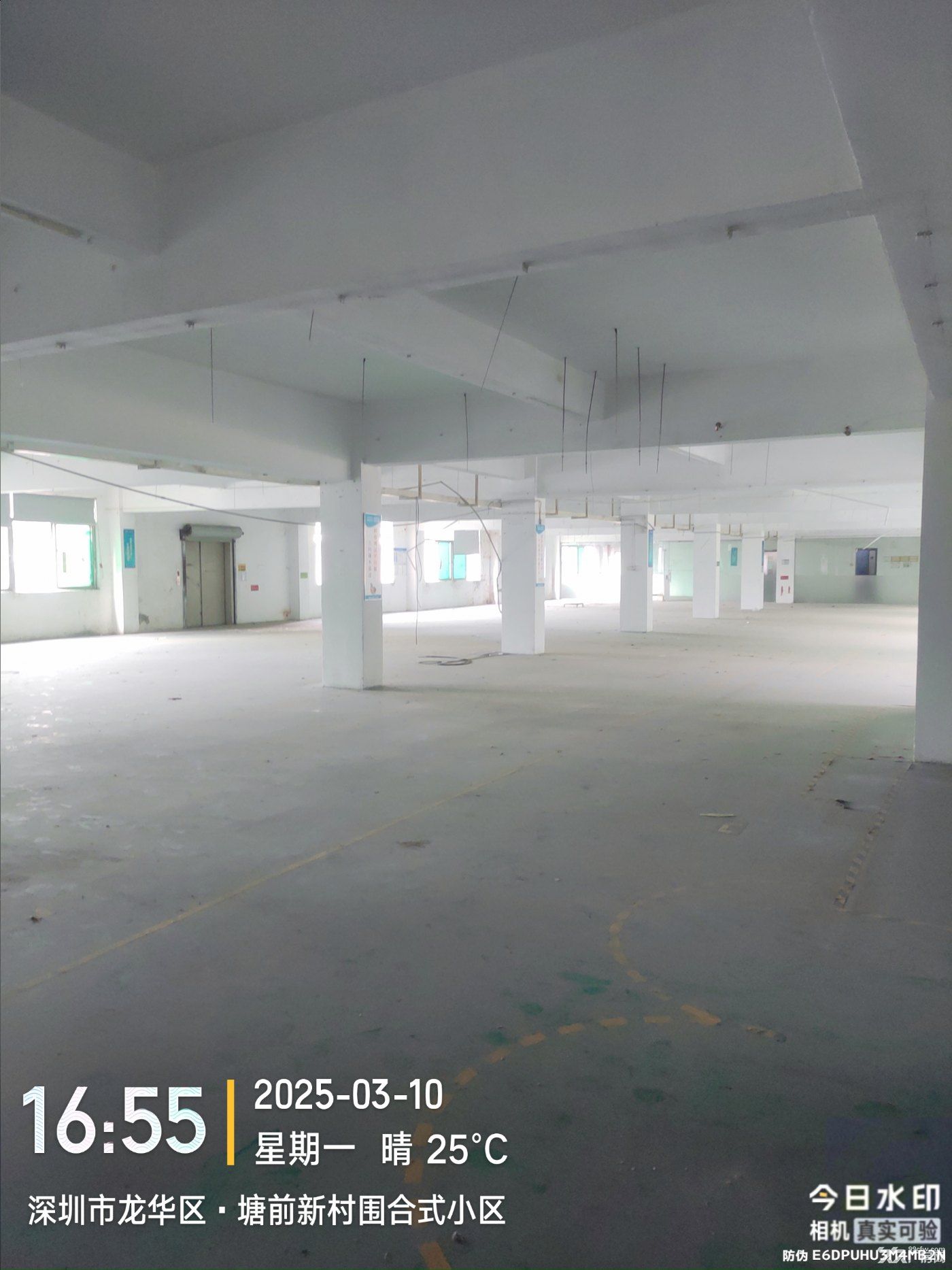 【可长租5年业主直租】超大园区,可分割,设施全 - 6