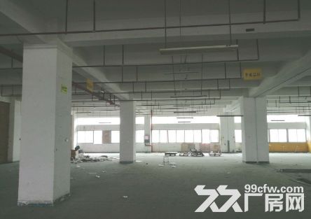 后溪工业区标准厂房独幢每层3200出租 - 4