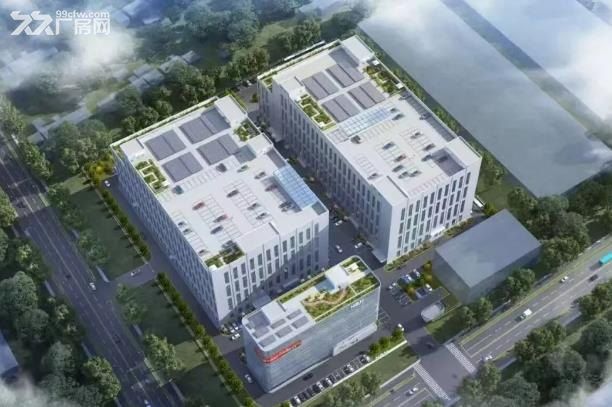 奉贤西渡11万平新建厂房出租,可分租 - 2