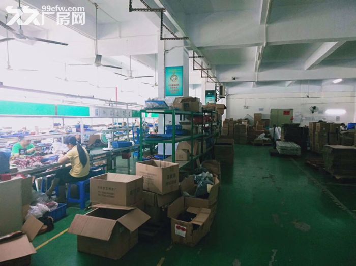宝安石岩大型工业园厂房整层2000平出租，带装修，靠近汽车站 - 3