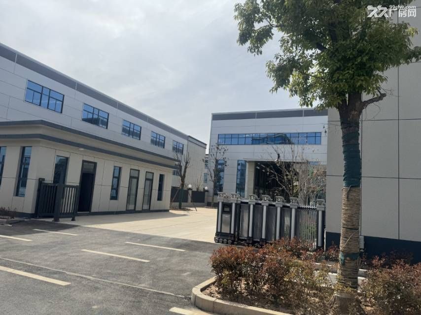 泾阳12.5米单层钢结构厂房出租出售，现房