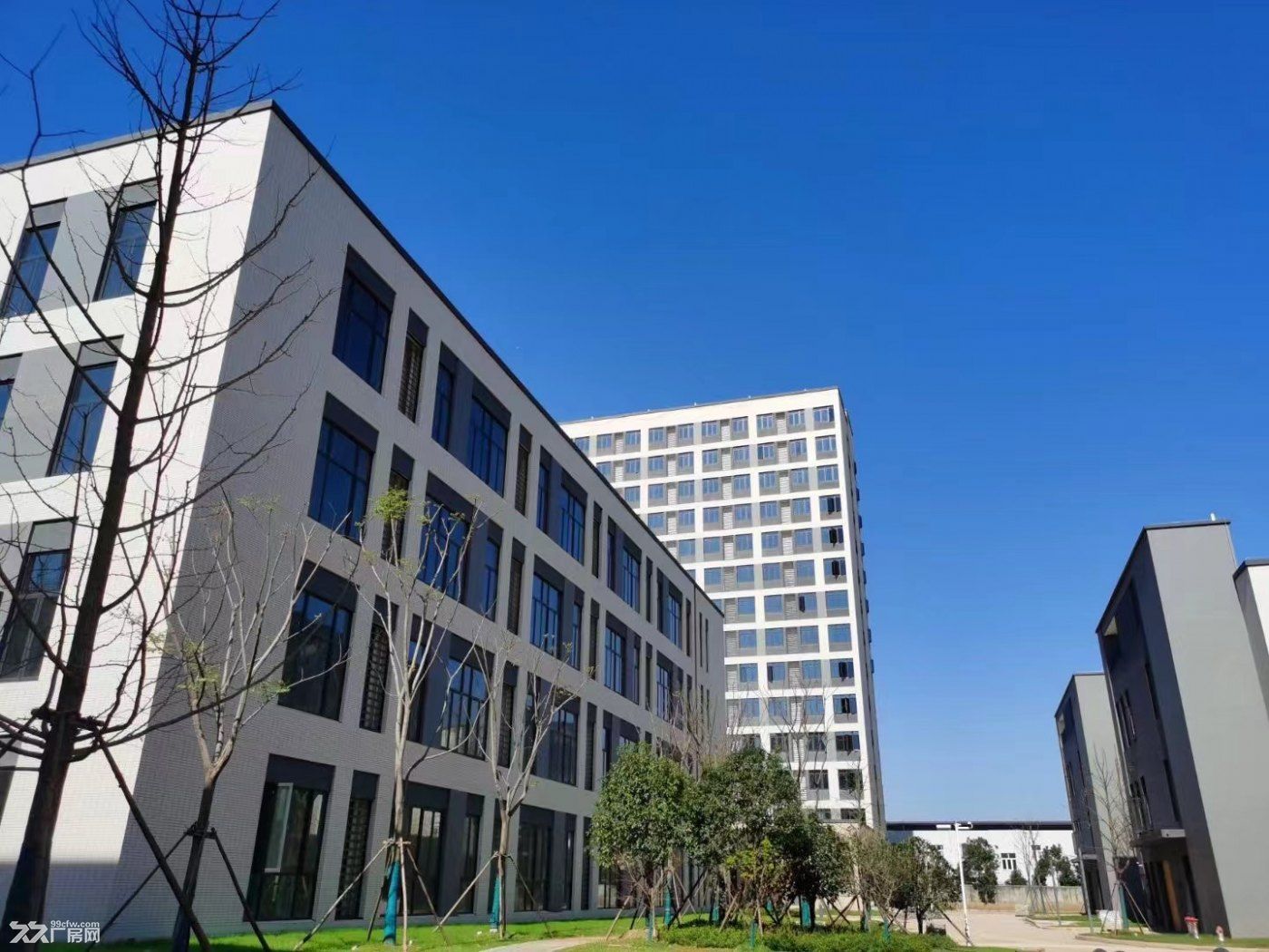 武汉南三环,国企上市公司开发,专注企业选址30年,花园独栋 - 3