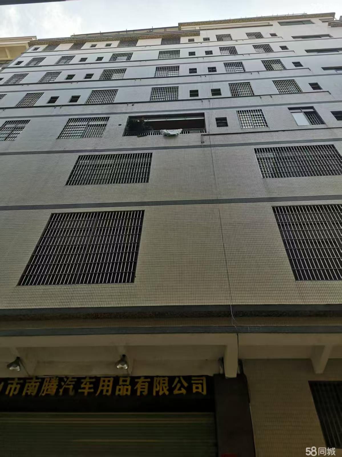 丹灶新大厂房便宜出租快来看 - 6