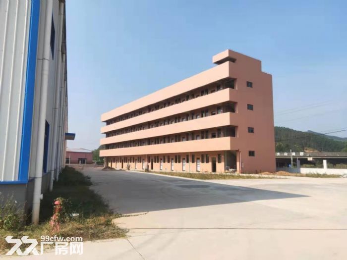 高明明城单一层小独院钢构厂房,5700方,滴水8米,空地3000方 - 3
