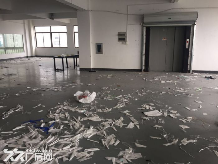 滨江600方厂房出租 价格便宜 淘宝仓储办公 - 4