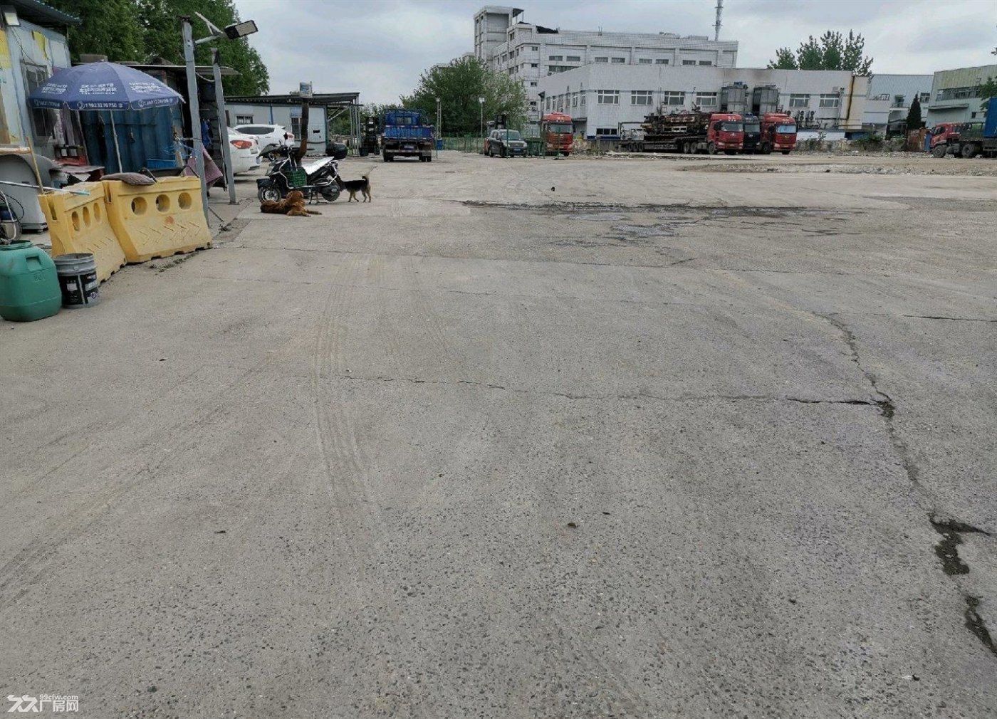 招商：安亭35亩水泥场地出租，可分租曹安公路边。