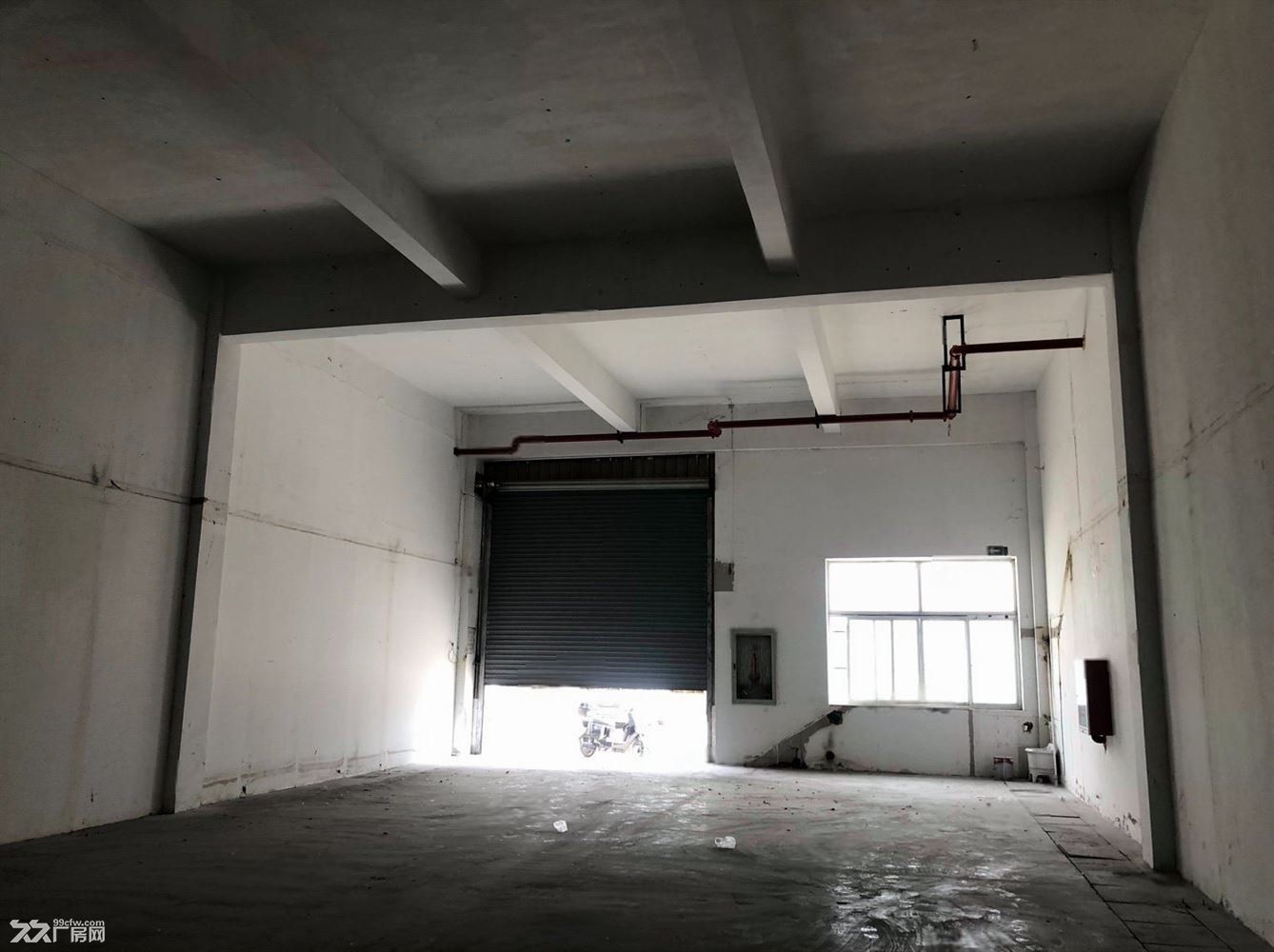 出租多层底楼 冬暖夏凉 层高7米 无一根立柱 利用率超高 超大空 - 8