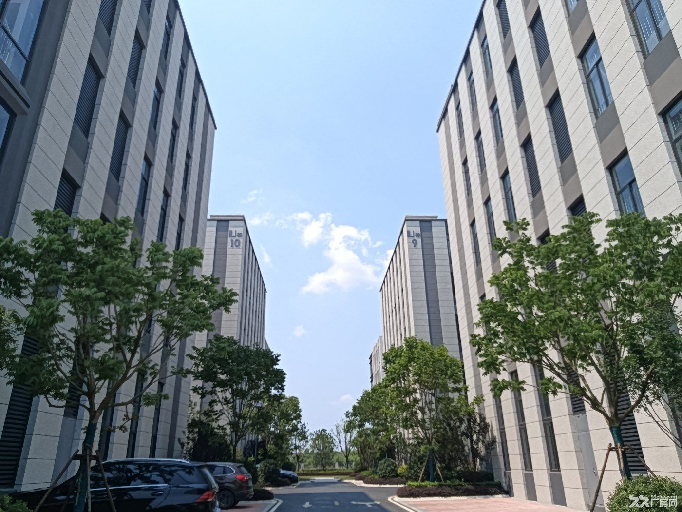 开发商直租无中介费 包河区独栋厂房 层高6米 可分租可整租 - 7