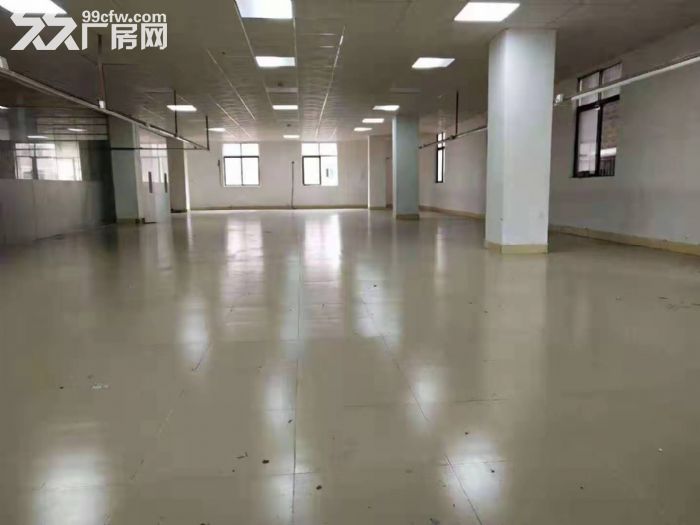 台山工业新城陈宜禧附近一楼500平方厂房仓库出租,形像好 - 3