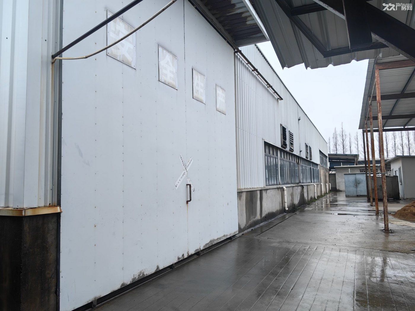 高桥镇大同路1436号内800㎡层高7米出租,中间无立柱利用率高 - 3