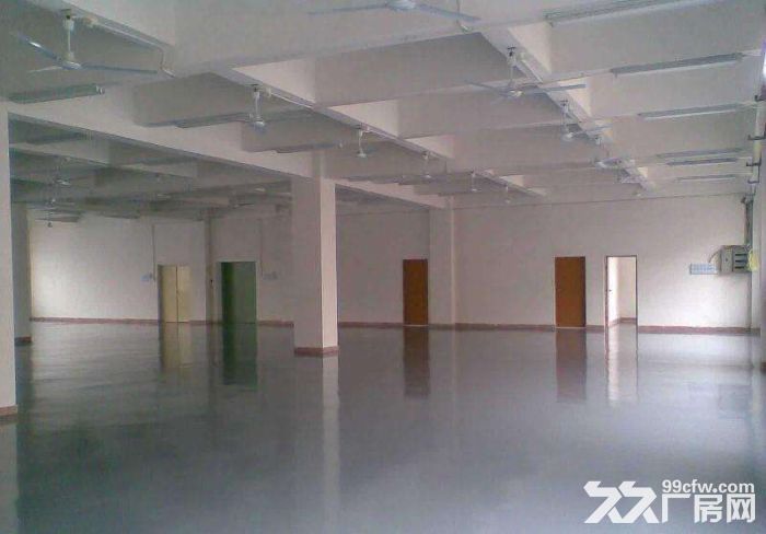 7.水阁路.1到3楼5400平米.独立一栋.新建厂房.位置好.环境好 - 3