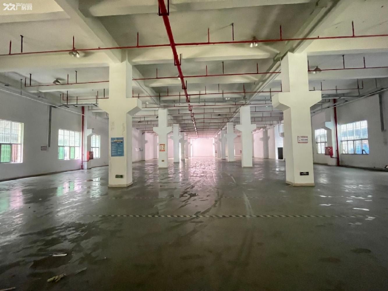 深圳外环高速口原房东厂房一楼2168平米高度6.5带牛角 - 6