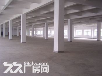 个人.湖熟一楼1000平米厂房或仓库 高度8米，混凝土结构 - 5