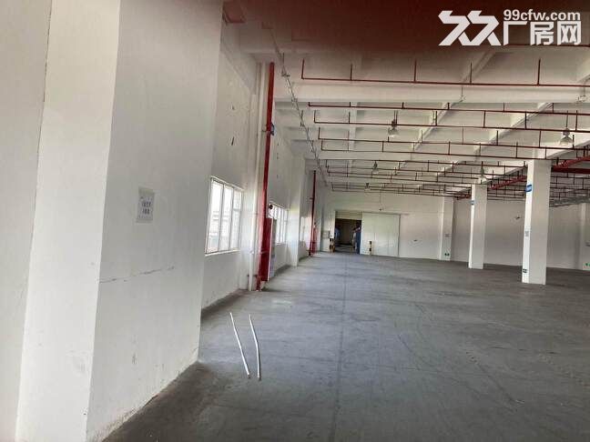 黄埔开发东区花园式厂房2400方招租,原房东,精装修,可办环评 - 5