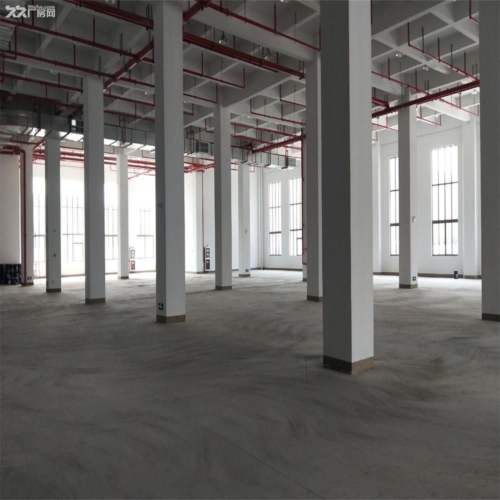 吴江汾湖开发区14亩,建筑面积8000平米 - 4