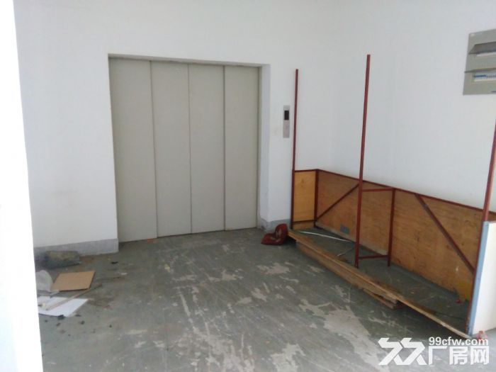 2300平方米厂房出租,精装修电子厂房， 两证齐全 - 5