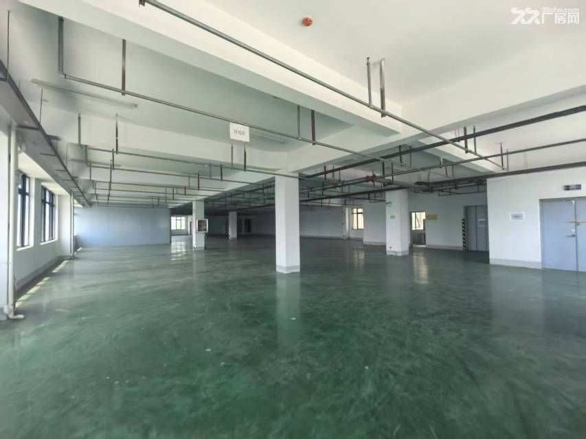 新站区标准厂房办公轻加工920平可分租 - 5