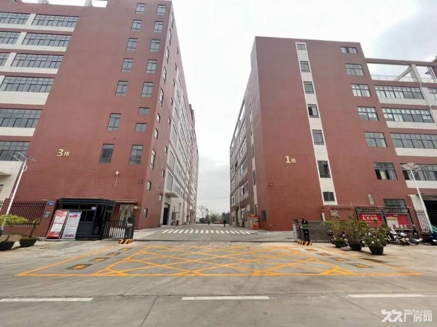 龙华阳台山地铁口附近55000㎡独门独院厂房出租 大小分租 - 5