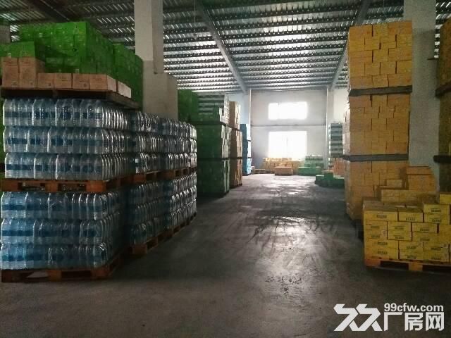 西丽老火车站附近,新出一楼钢构厂房,1000平低价出租,交通便利,空地大 - 4