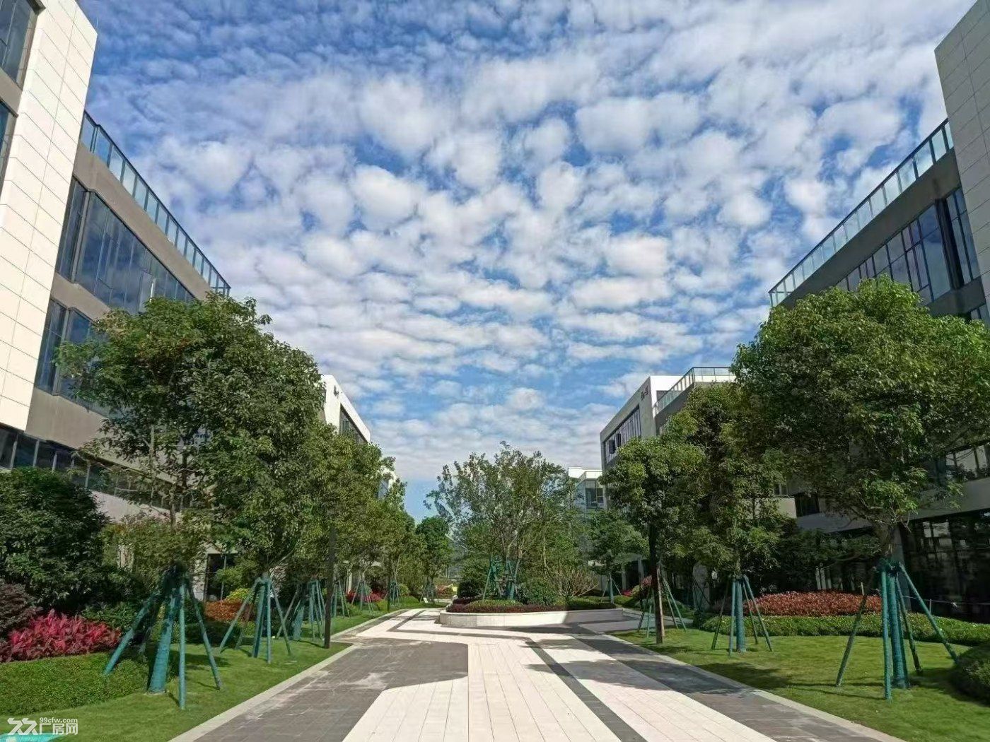 福州长乐滨海新区独栋分层稀缺厂房火热招商 - 4
