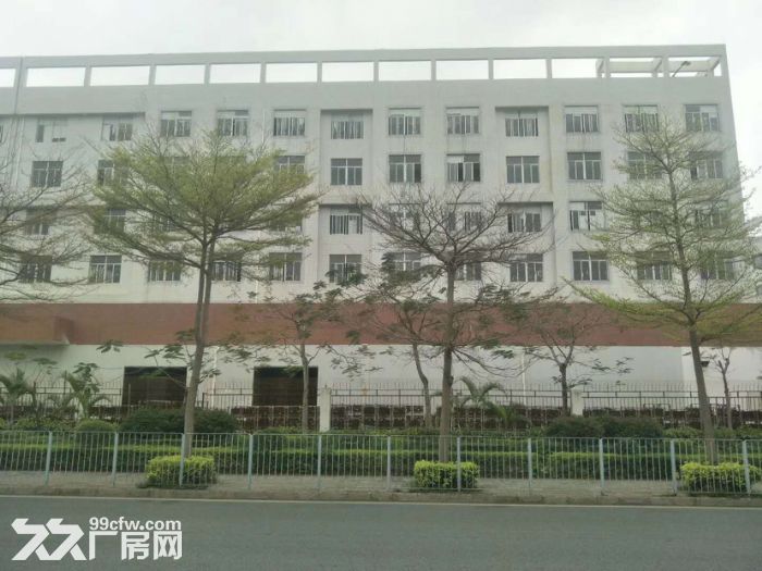 坪山主干道边红本厂房一二楼各4000平方出租 合同八年，可办环评 - 3
