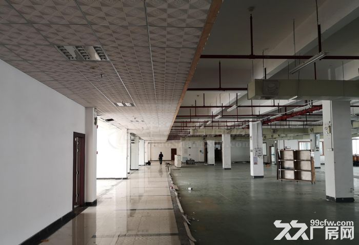 黄埔区科学城南云路旁6500平标准厂房招租，可分租，性价比高 - 4
