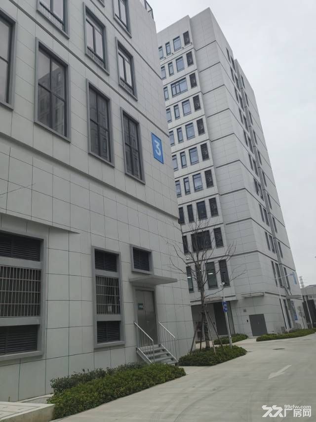 全新厂房出租蛟川2000平